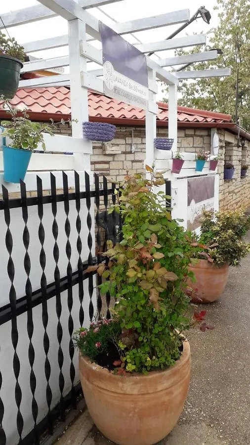 Lavanda Umag Nocleg ze śniadaniem